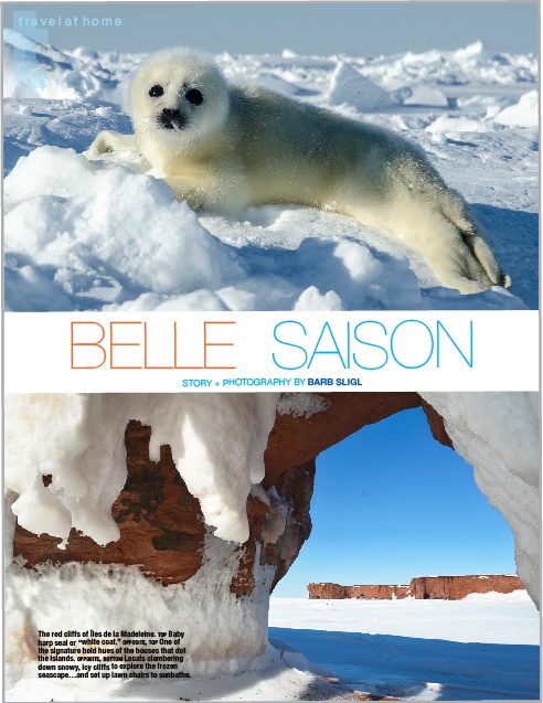 Belle Saison